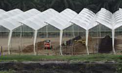 Produccion compost