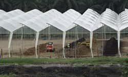 produccion-compost